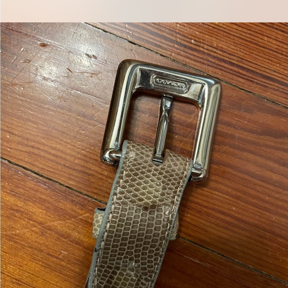 Coach Brown Snakeskin Belt with Silver Buckle